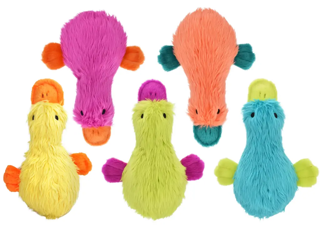 [Ty-1023] Duckworth Webster 13"