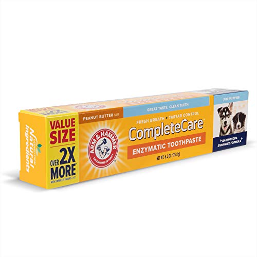 Arm & Hammer Enzymatic Dog Toothpaste 6.2 Oz - Peanut Butter Flavour