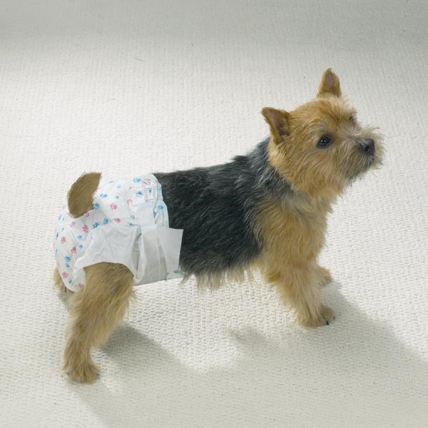 Disposable Doggy Diapers X-Small