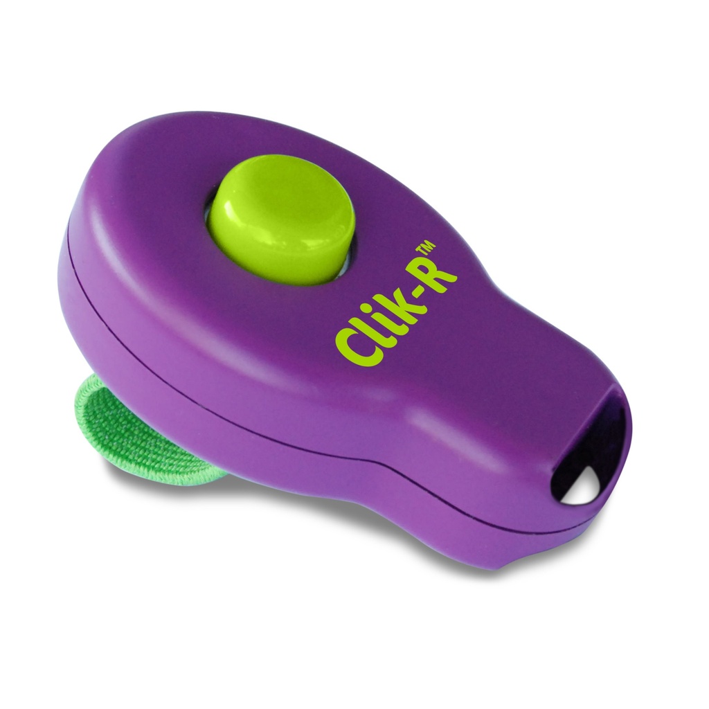 PetSafe Clicker Training Tool