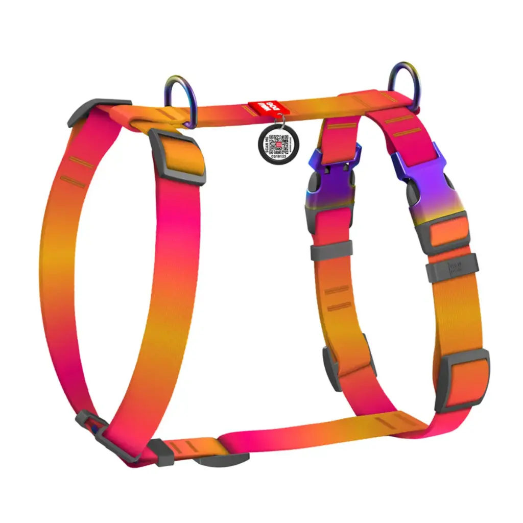 WauDog Recycled Nylon H-Harness Orange Gradient Large