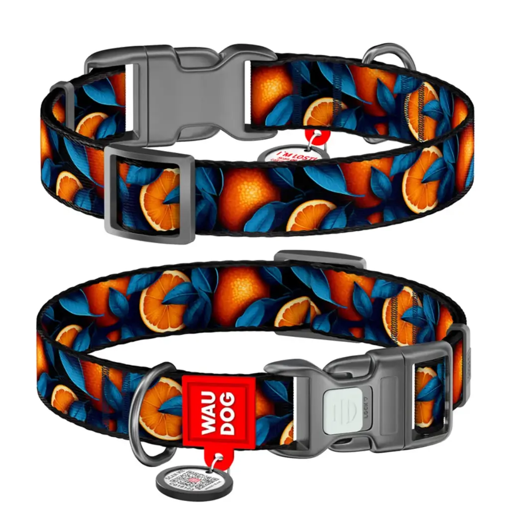 WauDog Nylon 'Oranges' Collar Small