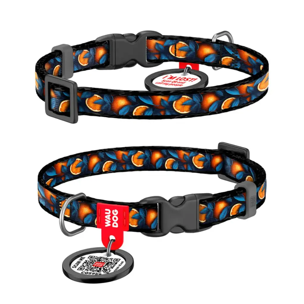WauDog Nylon 'Oranges' Small Dog or Cat Collar XSmall
