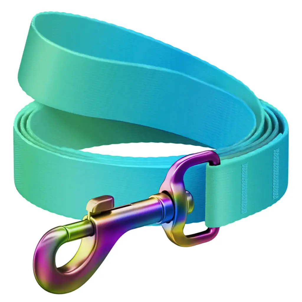 WauDog Recycled Nylon Leash 122cm Blue Gradient Small