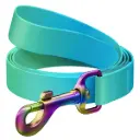 WauDog Recycled Nylon Leash 122cm Blue Gradient Small
