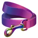 WauDog Recycled Nylon Leash 122cm Purple Gradient Small