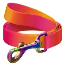 WauDog Recycled Nylon Leash 122cm Orange Gradient Medium
