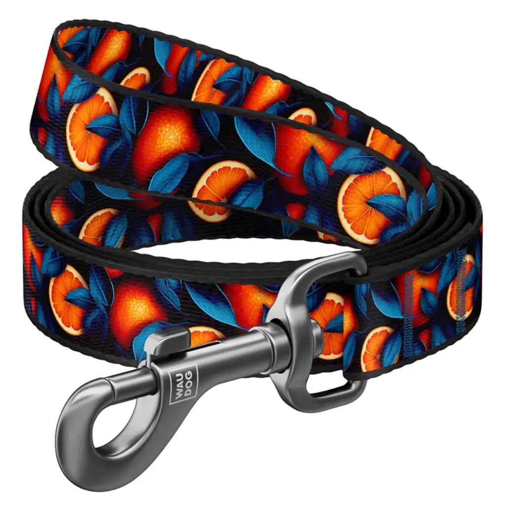 WauDog Nylon 'Oranges' Leash Medium 200cm