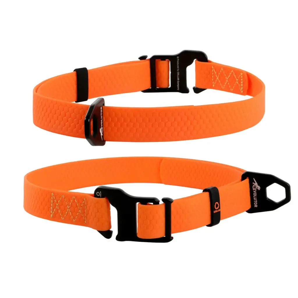 Evolutor Adjustable Dog Collar Orange 25-70cm (One Size Fits) 