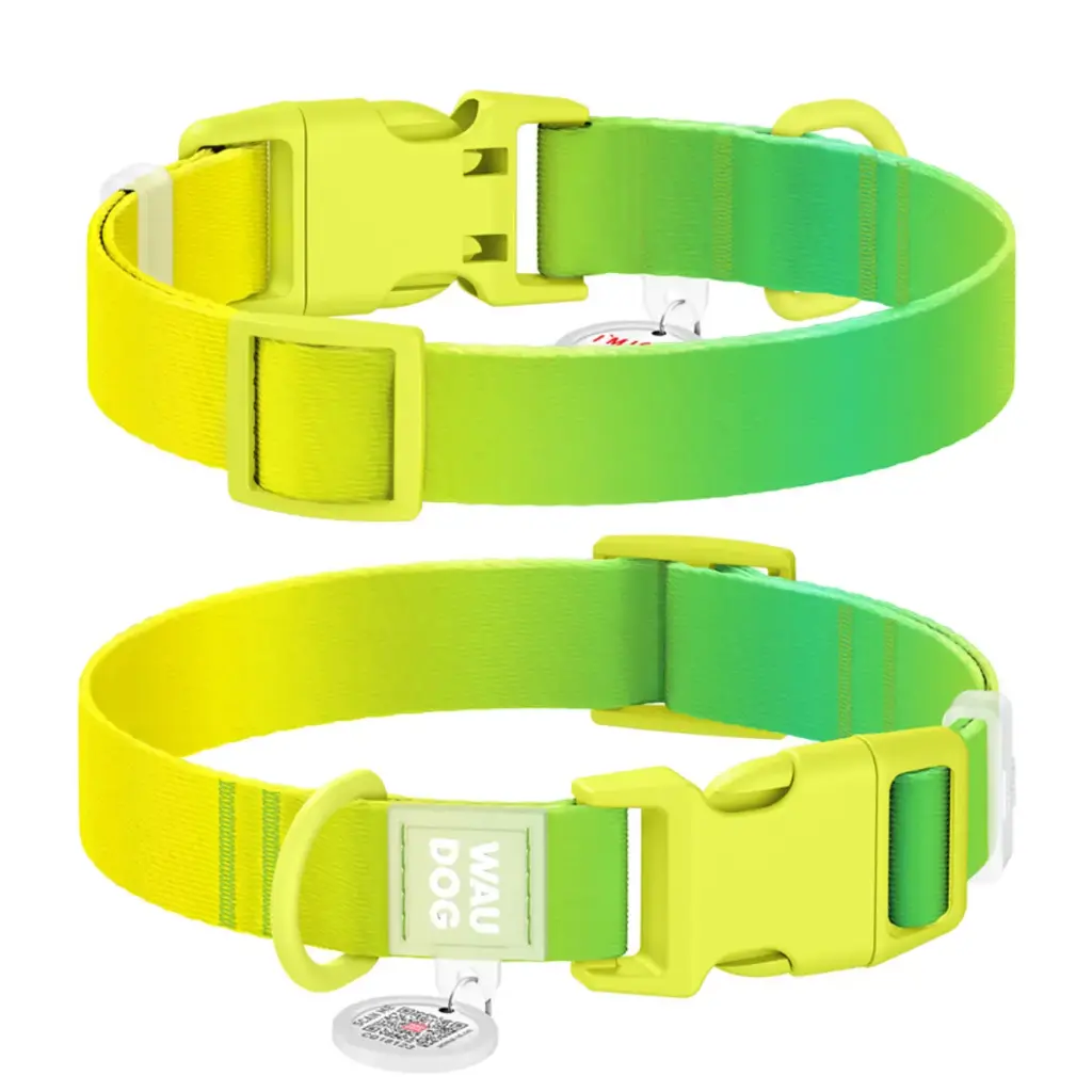 WauDog Recycled Collar Light Green Gradient XLarge