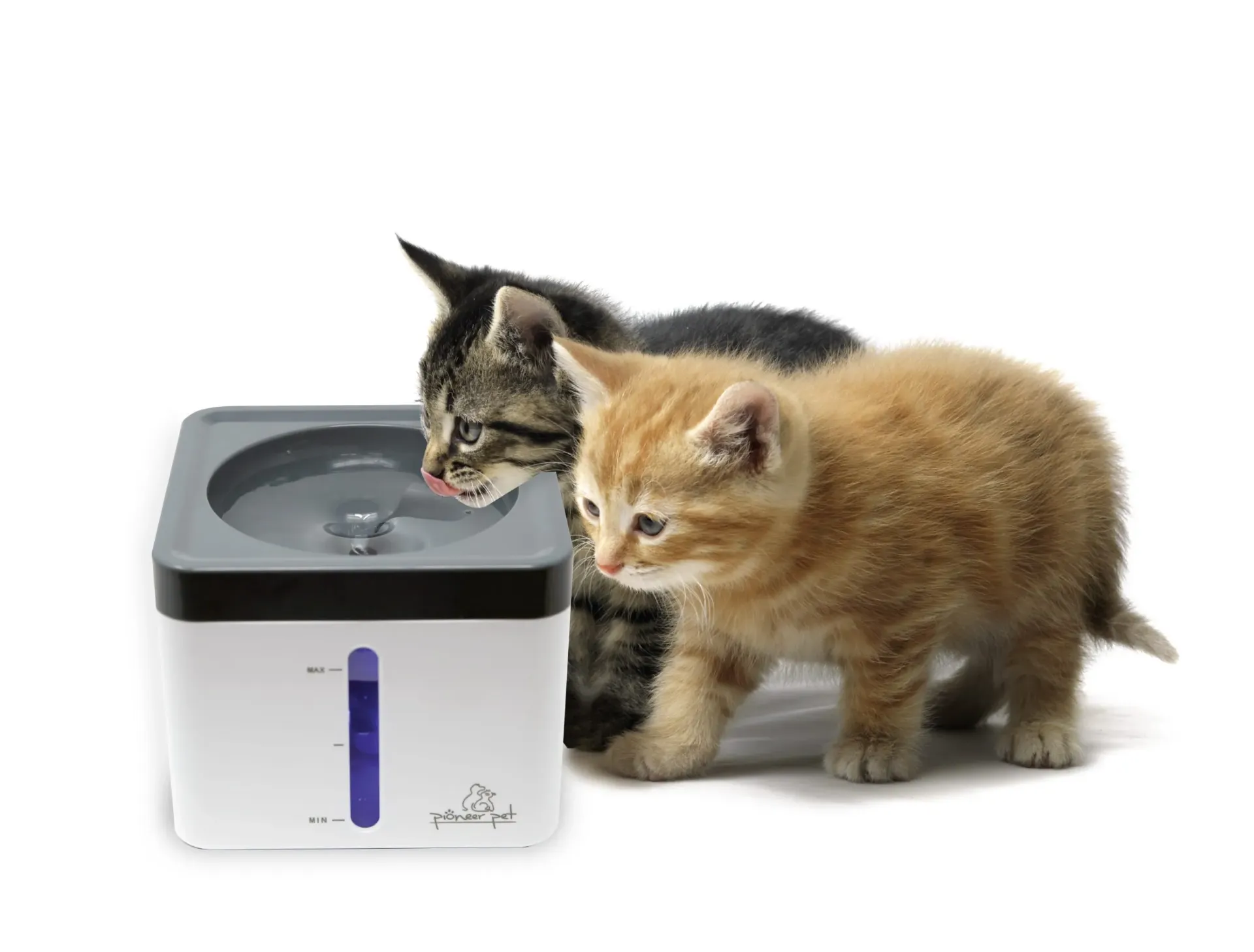 Mini Vortex Drinking Fountain