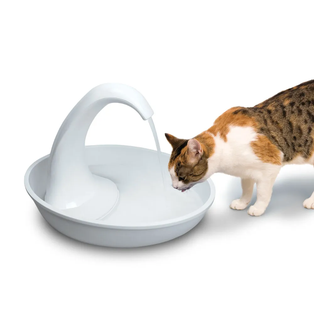 The Swan Fountain - 80 oz
