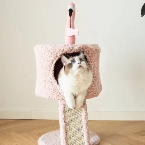 Catry Flamingo Small Cat Tree with Scratching board