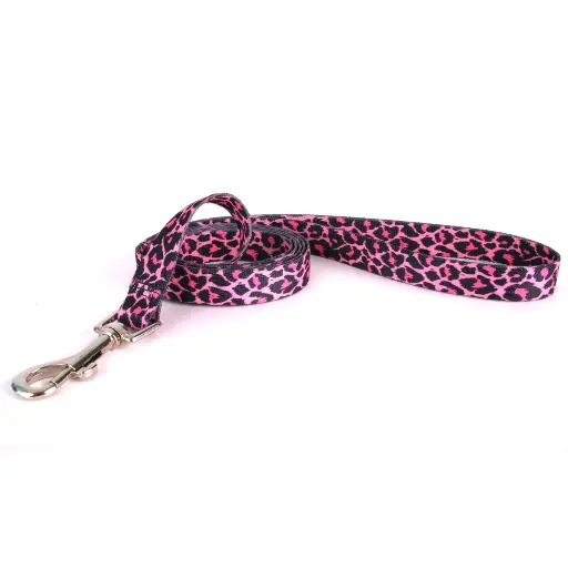 Leopard Dog Leash