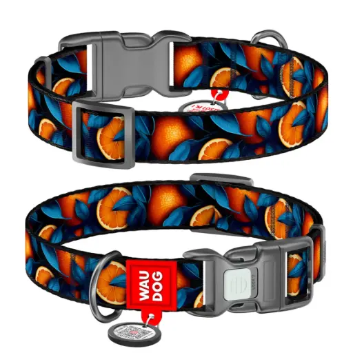 WauDog Nylon 'Oranges' Collar Small