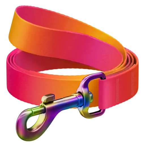 WauDog Recycled Nylon Leash 122cm Orange Gradient Medium